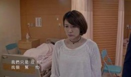 history系列在线观看视频在线观看,history系列视频深度解析