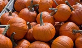 五米娱乐吃瓜,揭秘娱乐圈最新“吃瓜”热点